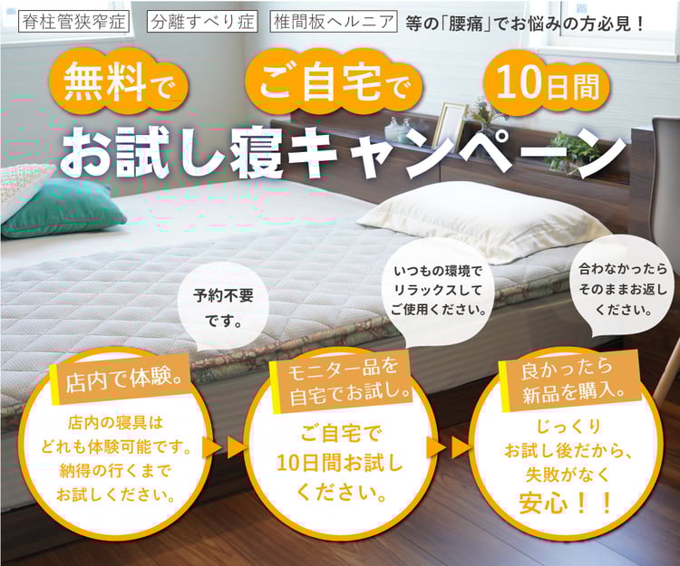 お試し案内