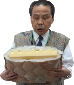 冨樫部長と断面