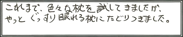 silk-s3