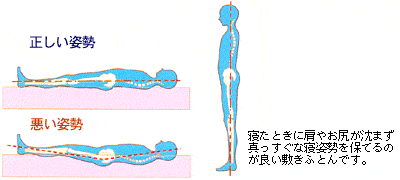 正しい寝姿勢と悪い寝姿勢